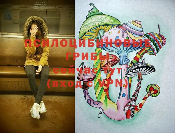 кокаин премиум Козельск