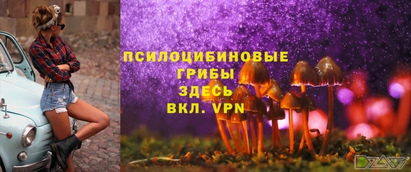 кокаин премиум Козельск