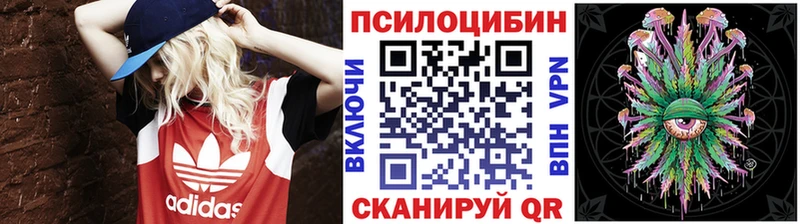 Купить где  Онега  Псилоцибиновые грибы Psilocybe 
